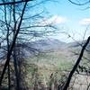 Mountains peeking through the trees on the trail.