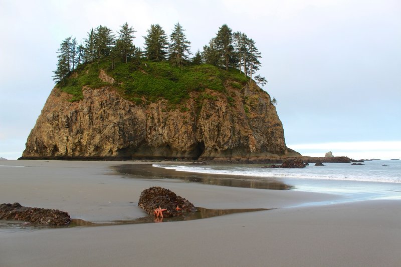 The island off of Second Beach is amazing to explore at low tide.