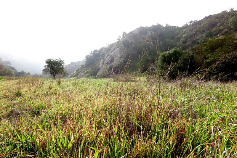 South east view of Laurel Canyon Trail.