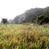 South east view of Laurel Canyon Trail.