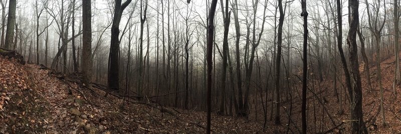 Pano of ravine along trail.