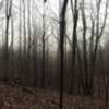 Pano of ravine along trail.