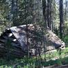 Approaching the meadow, you encounter Mr. McGurk's cabin.