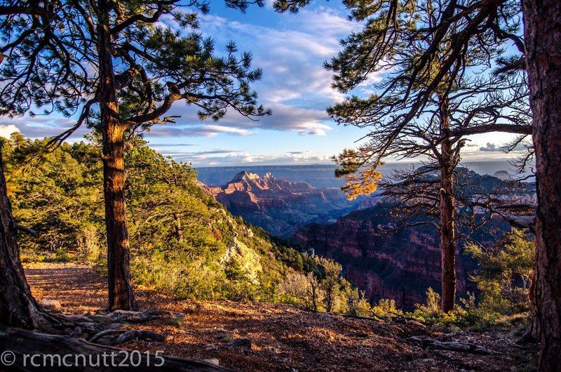 North Rim Hike days before my Rim 2 Rim Hike