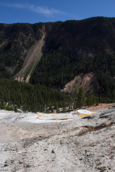 Active hot spring along the Seven Mile Hole trail.