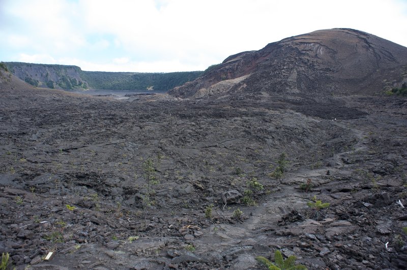 Emerging from the rainforest into the crater.