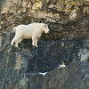 A local rock climber above the rest.