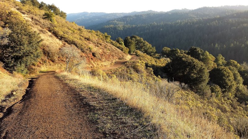 Indian Creek Trail looking down Stevens Creek Canyon and San Andreas Fault.