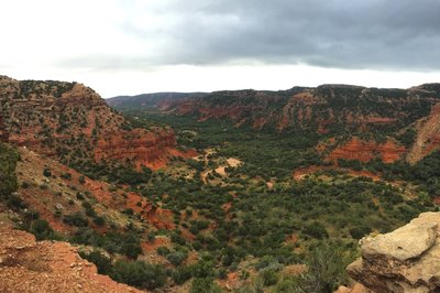 are dogs allowed at caprock canyon state park