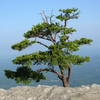 Moores Knob Hanging Rock SP, NC.