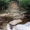 Cascade Creek crossing on Moore's Wall Loop Trail.