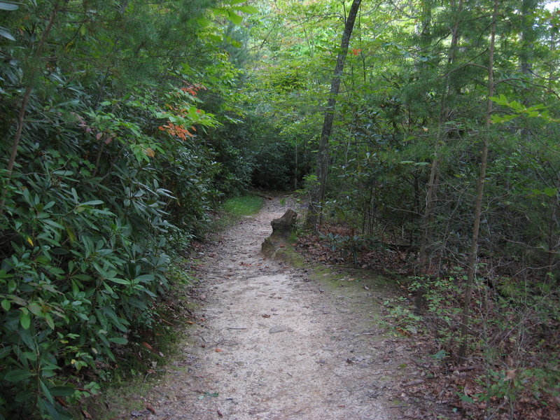 Start of Moore's Wall Loop Trail