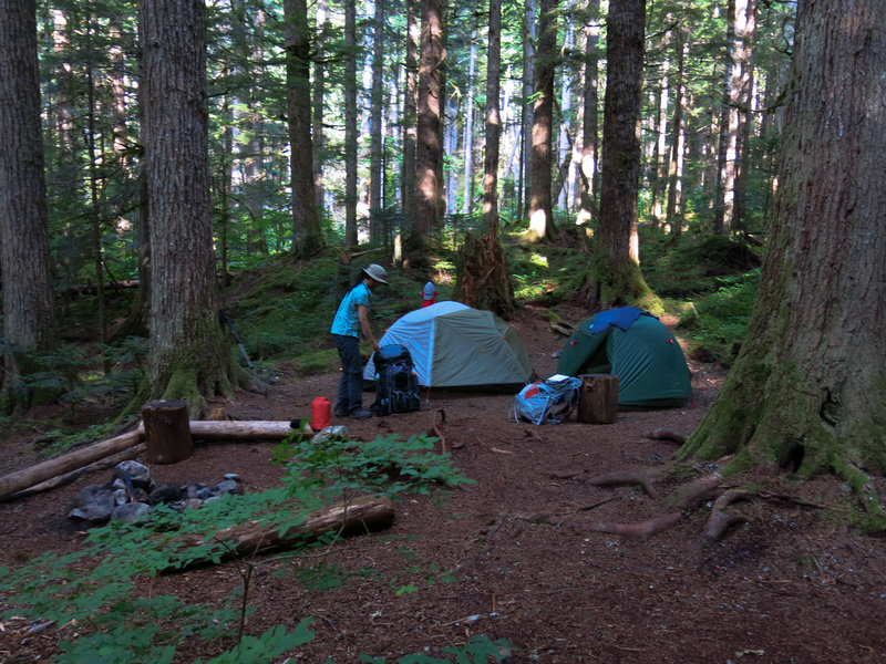 A nice, cloistered spot at Indian Creek Campground.