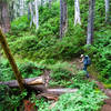 Working our way up one of the many switchbacks on Hannegan Pass Trail.