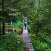 Crossing Indian Creek on the Chilliwack Trail.