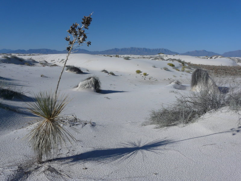 White Sands NM - Backcountry Camping Loop trail