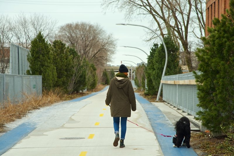Walking your dog on the 606.