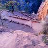 On the way up to Angels Landing.