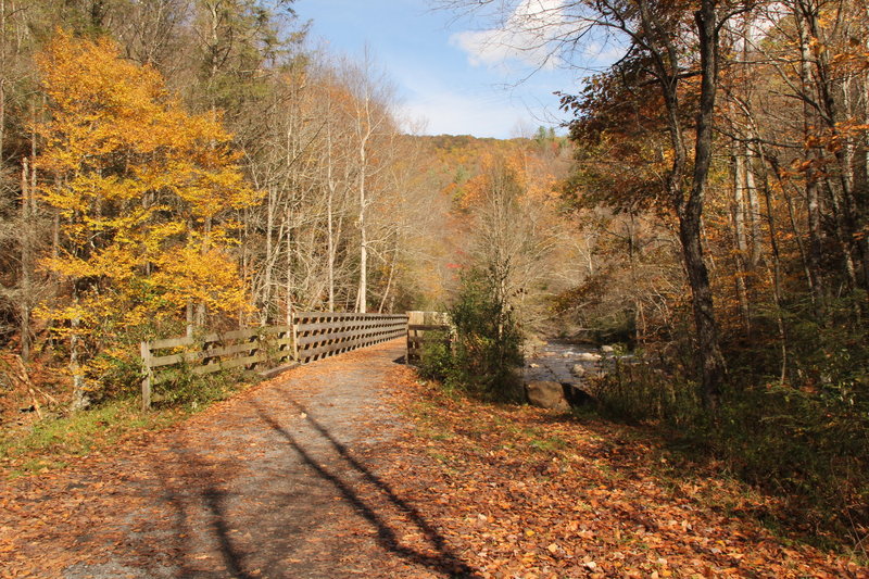 Fall is a great time to be on the Virginia Creeper Trail.