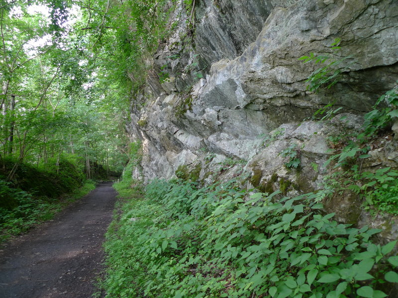 Karst formation along the Creeper Trail