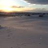 Sunset on the dunes.