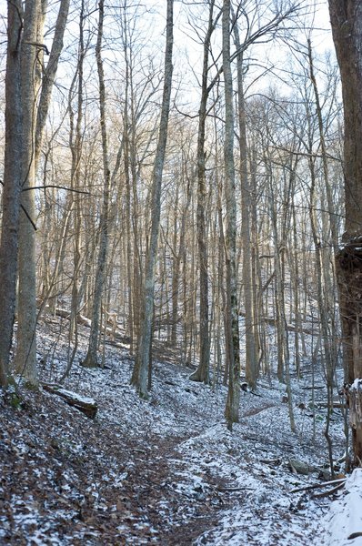 Even though the trail may be clear and dry at the bottom, snow can be encountered at higher elevations, especially in shaded areas.