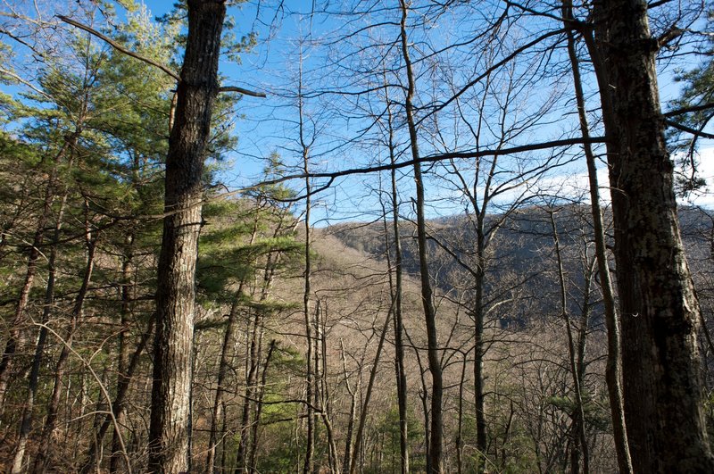 Most views of the mountains are obstructed by the trees along this trail.