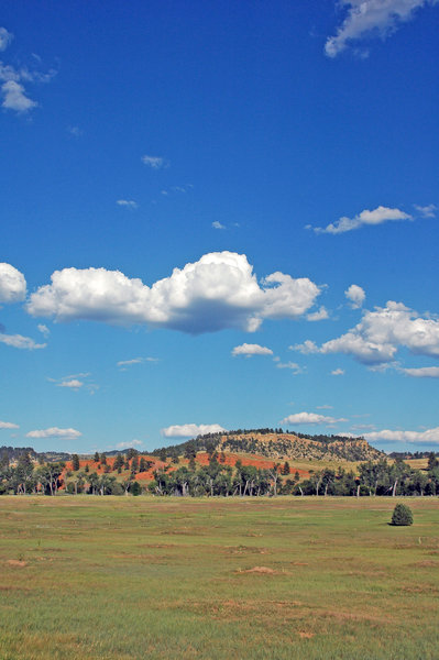 Wyoming Skies