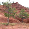 Awesome red badlands along Red Beds Trail.