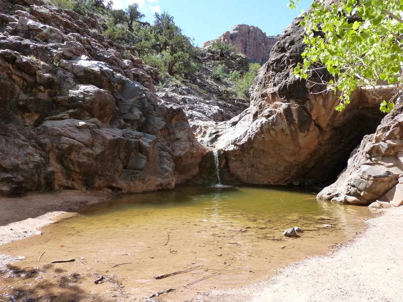 First pool, No Throughfair Canyon Trail, Colorado National Monument, Colorado