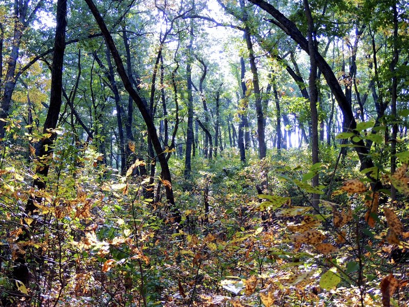 Enjoying the colors on Trail 9.