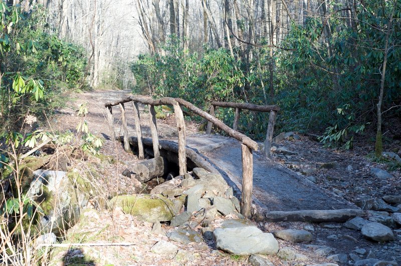 Bridge crossing a small creek that feeds into the Lynn Camp Prong.