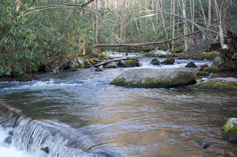 The Lynn Camp Prong working it's way over an old splash dam.