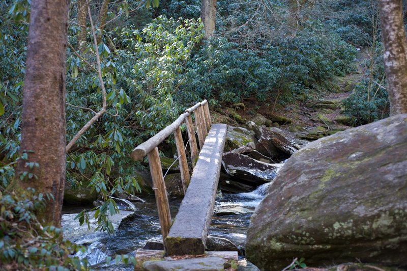 Footbridge crossing Road Prong, making the crossing considerably easier.