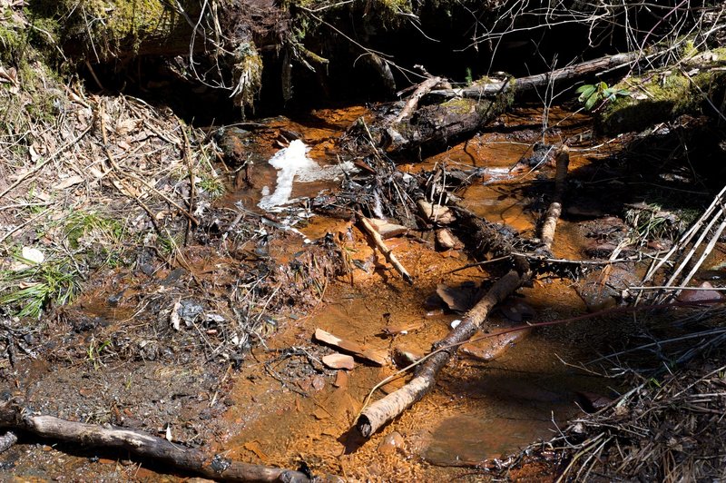 Acidic red sediment from Anakeesta rock washes into the Road Prong.  The acidic nature of the red sediment could cause problems for the aquatic life that make their home there. This is the result of the landslides, mud slides, and log jams that have happened in this area.