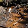 Acidic red sediment from Anakeesta rock washes into the Road Prong.  The acidic nature of the red sediment could cause problems for the aquatic life that make their home there. This is the result of the landslides, mud slides, and log jams that have happened in this area.