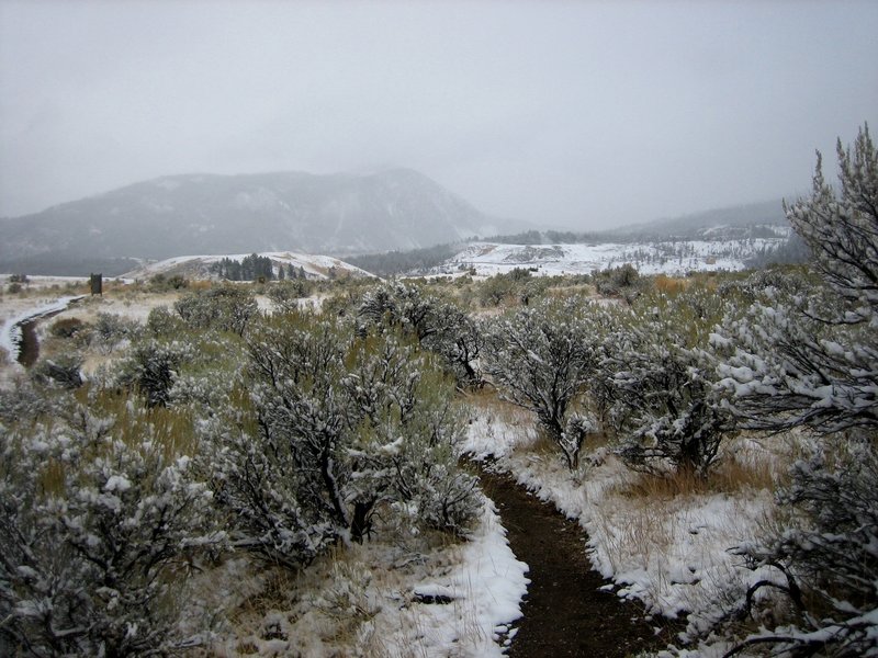 Big sage near the end of the hike. Mammoth Hot Springs and Bunsen Peak on the horizon.