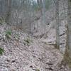 Climbing up the trail on the other side of Laurel Creek Road. The trail narrows and climbs sharply as it approaches Crib Gap