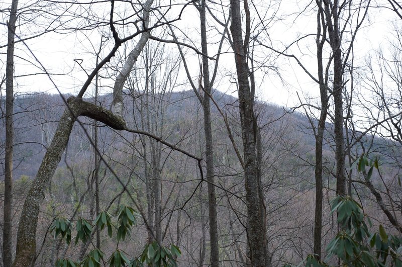 Obstructed views of Scott Mountain exist along the trail.