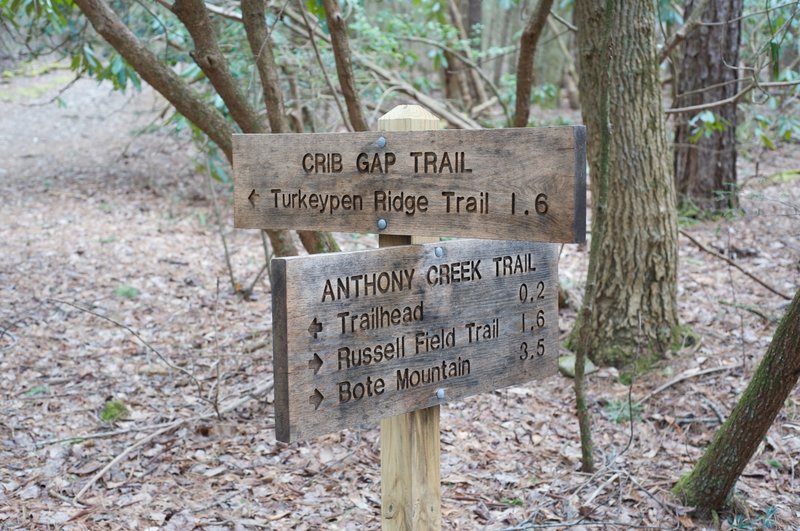 End of the trail. This is the trail junction at the Anthony Creek Trail.