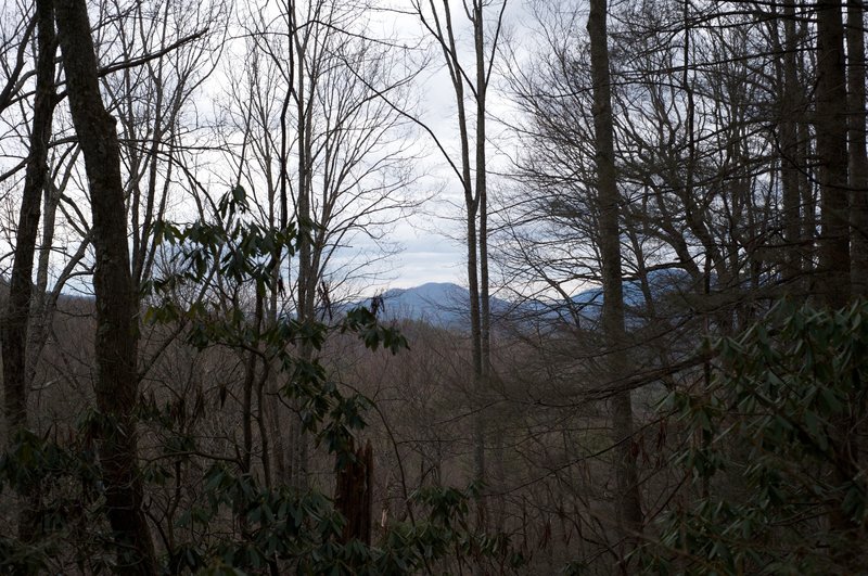 Views from Crib Gap are obstructed, but still show the beauty of the area.