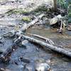 It's just a hop, skip, and jump across these small creeks like Laurel Cove Creek.