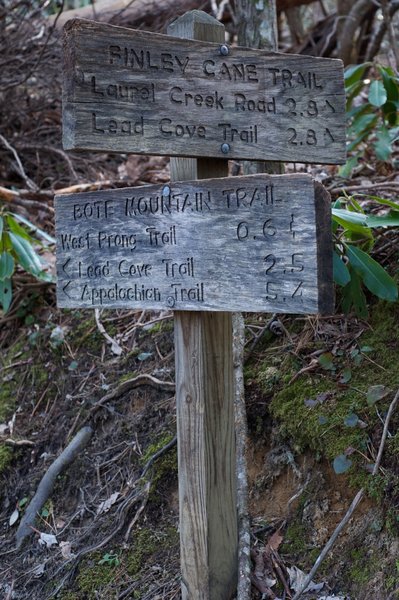 The trail ends at the junction with the Bote Mountain Trail.  Your options are listed on the signs. The Smokies do a great job with marking the various trails and mileage.