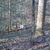 Boar trap sitting off the trail.