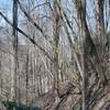 The trail winds along the ridges of Fodderstack Mountain.