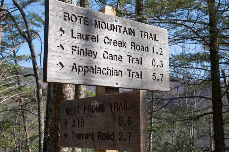 The West Prong Trail meets up with the Bote Mountain Trail and offers several possibilities for continuing.