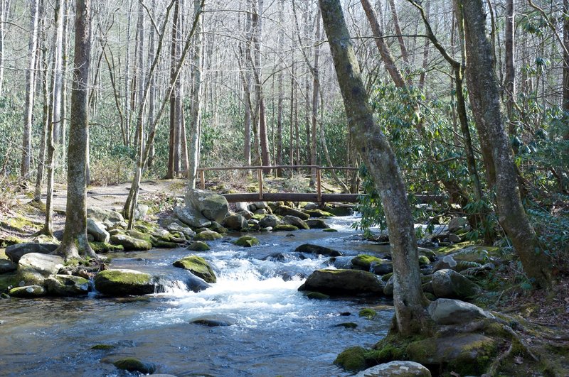 View of the the West Prong as it passes through Campsite 18.