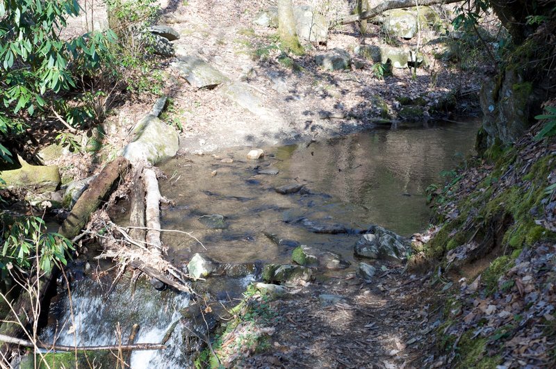 Small rock hop on the trail.