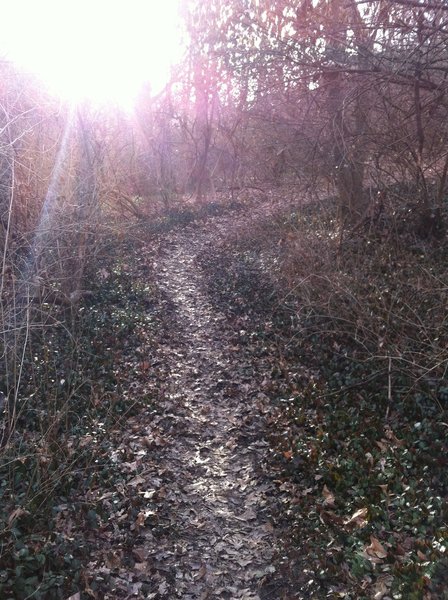 The sun going down on the trail.