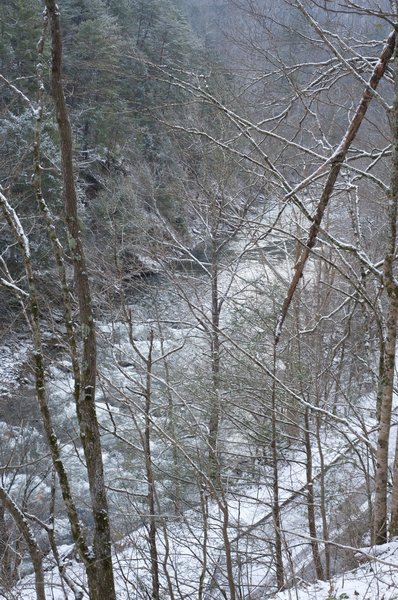 The Little River runs along the road that leads into the park. The trail climbs along the road and the river before it turns deeper into the forest.